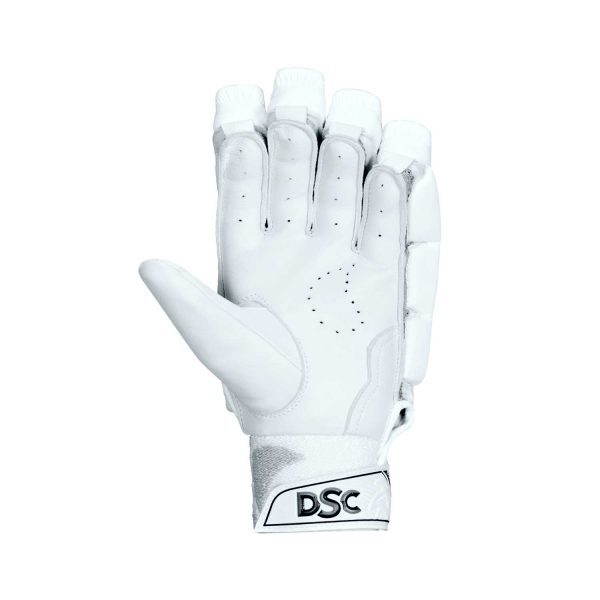 DSC XLite 1.0 Batting Gloves (2021)