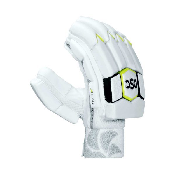 DSC XLite 4.0 Batting Gloves (2021)