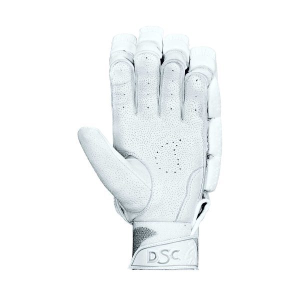 DSC XLite LE Batting Gloves (2021)