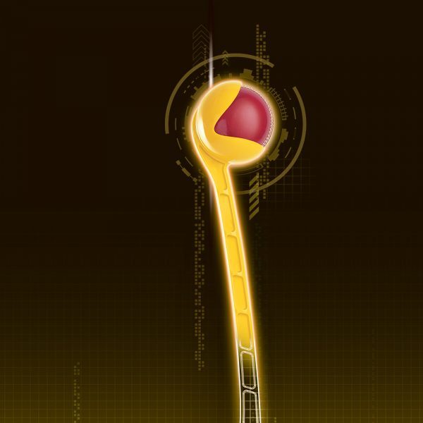 Sidearm Club - Image 2