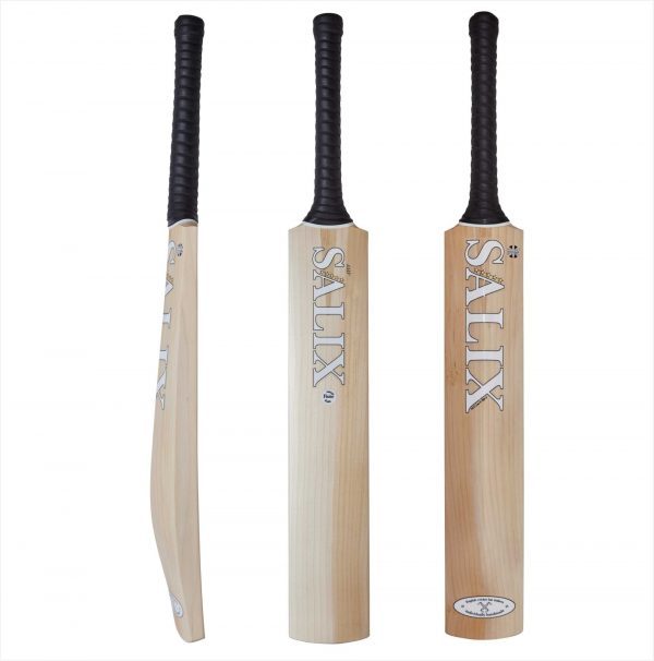 Salix Amp Select Cricket Bat (2023)