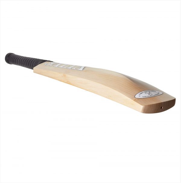 Salix Amp Select Cricket Bat (2023) - Image 2