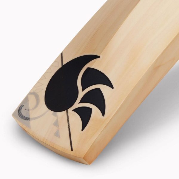 DSC Blak 5000 Junior Cricket Bat - Image 6