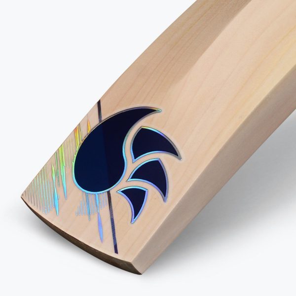 DSC Pearla X1 Cricket Bat (2024) - Image 4