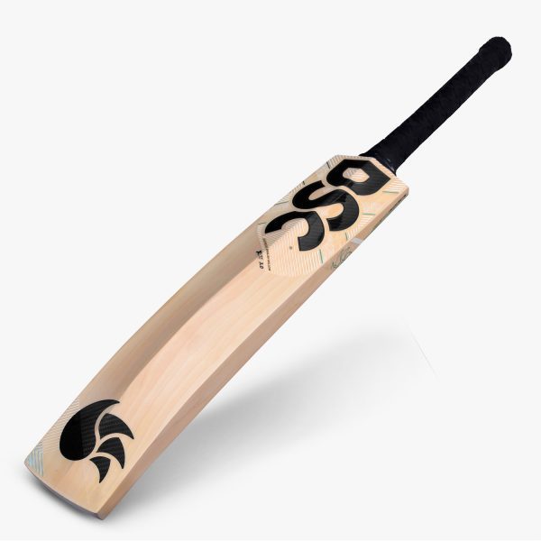 DSC XLite 3.0 Cricket Bat (2024) - Image 4