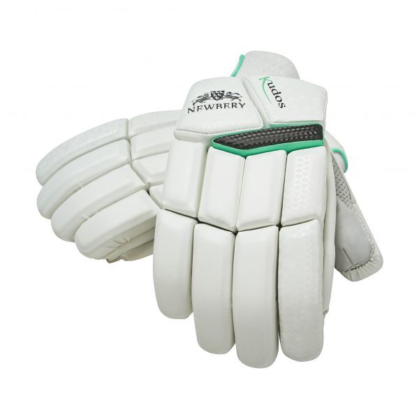 Newbery Kudos Batting Gloves - Image 2