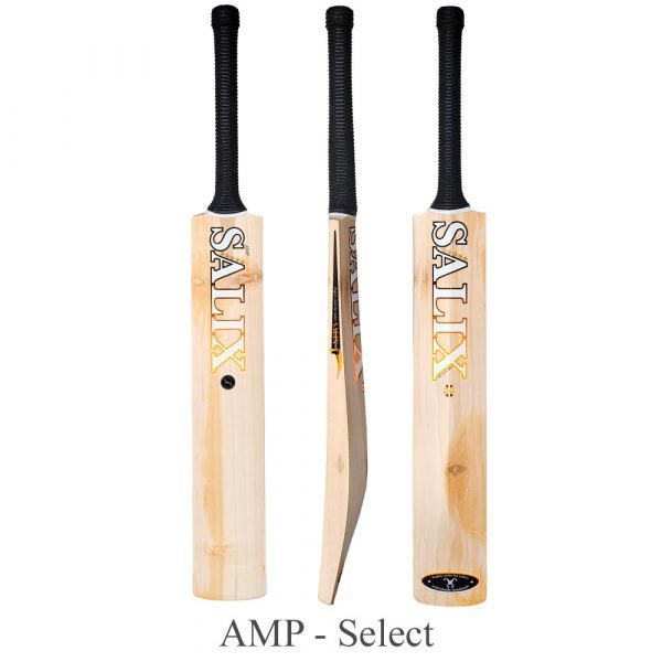 Salix Amp Select Cricket Bat (2024)