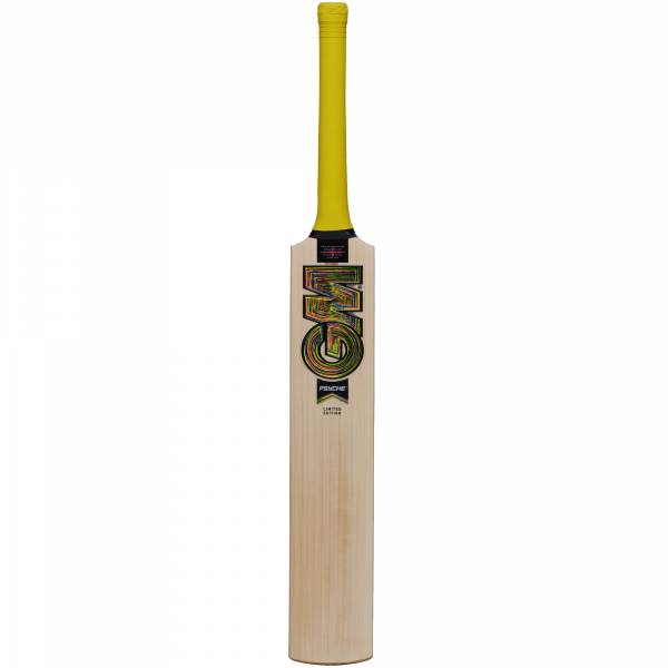 Gunn & Moore Psyche L540 Signature Cricket Bat (2025) - Image 4
