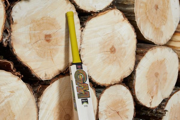 Gunn & Moore Ben Duckett Players Edition Cricket Bat (2025) - Image 3