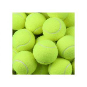 Feed Buddy Tennis Ball 6 Pack